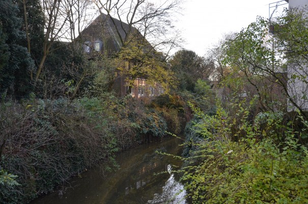 Eine von Münsters zahlreichen grünen Oasen © entdecker-greise.de
