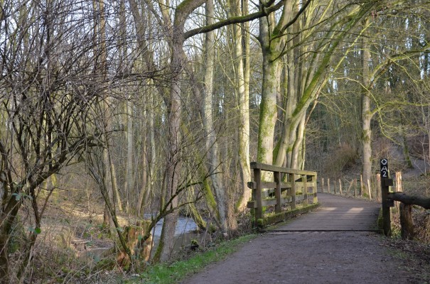 Ein Weg voller Ruhe. Der Neanderlandsteig. ©entdecker-greise.de