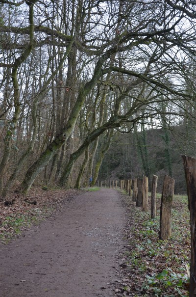 Ein Weg voller Überraschungen ©entdecker-greise.de