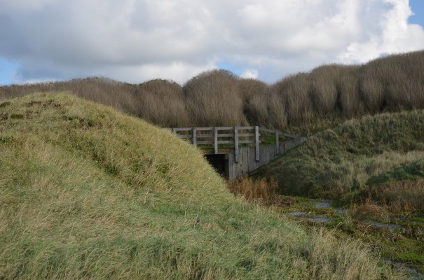 Entdeckung in der Normandie ©entdecker-greise.de