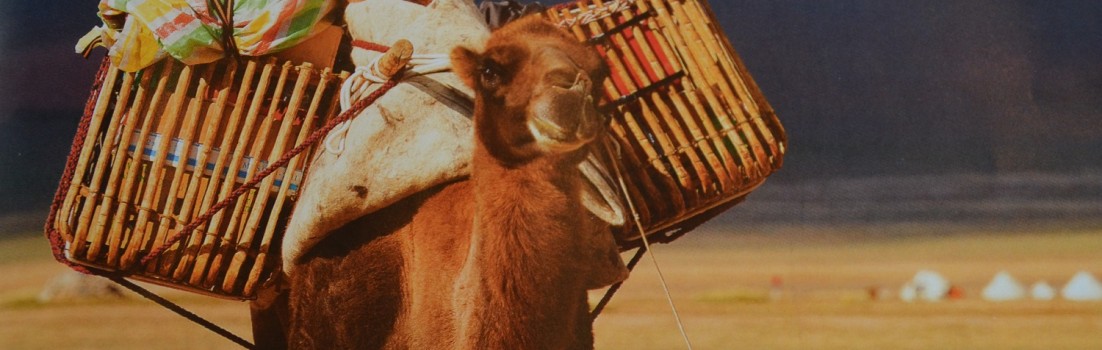 Globetrotter Kundenmagazin 4-seasons.de entdecker-greise.de