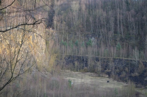 Grube 7 ©entdecker-greise.de