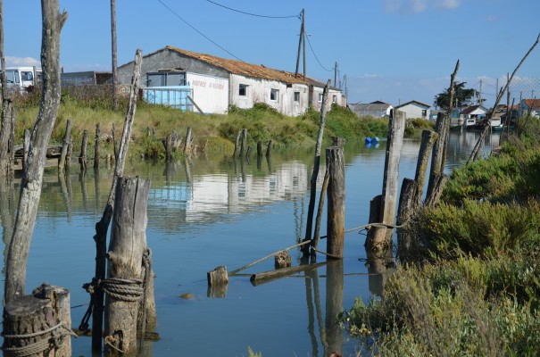 Ile d Oléron Austernzucht