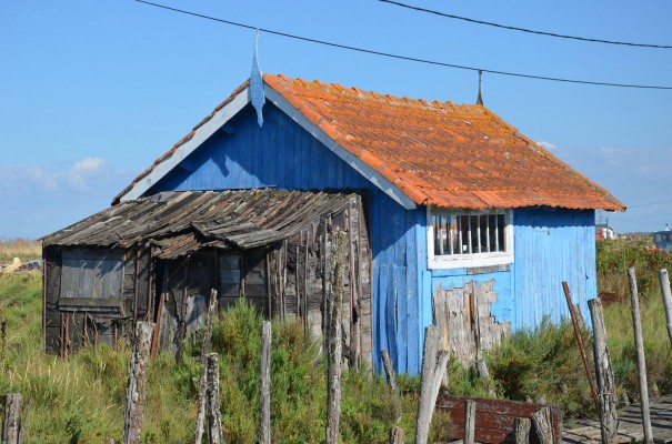 Ile de Oléron - Farbenpracht