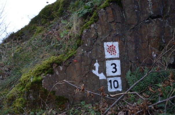 Markierung Rotweinwanderweg © entdecker-greise.de