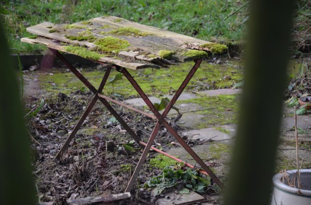 Natur-Schönheit ©entdecker-greise.de