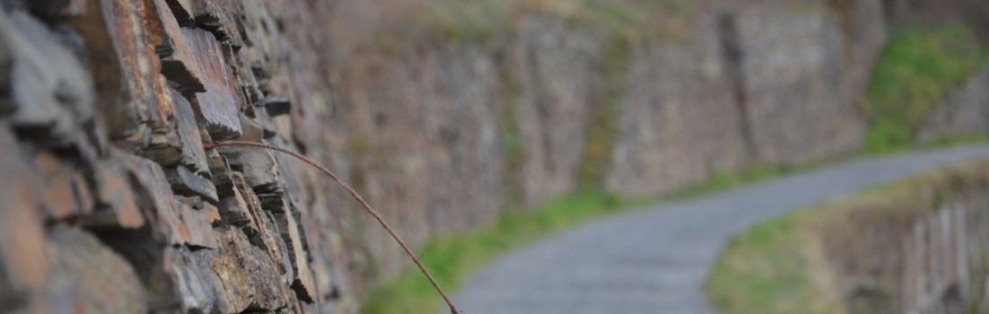 Abenteuer Rotweinwanderweg © entdecker-greise.de