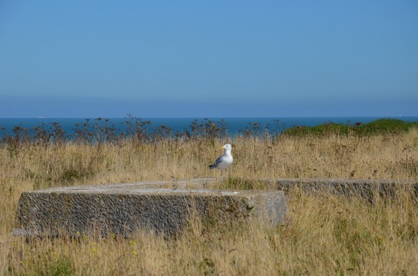 Die Normandie erleben ©entdecker-greise.de