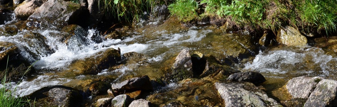 Natur pur - Frankreichs wunderschöne Pässe ©entdecker-greise.de