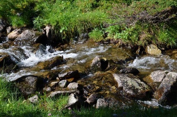Natur pur - Frankreichs wunderschöne Pässe ©entdecker-greise.de