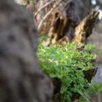 Glück will entdeckt werden ... auf Reisen ebnso wie im Alltag ©entdecker-greise.de