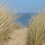 Strandfreuden an der Nordseeküste ©entdecker-greise.de