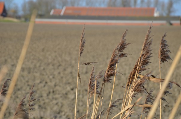 Vernetzen heißt Reisen & Begegnen! ©entdecker-greise.de