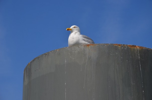 Einfach mal chillen ... ©entdecker-greise.de