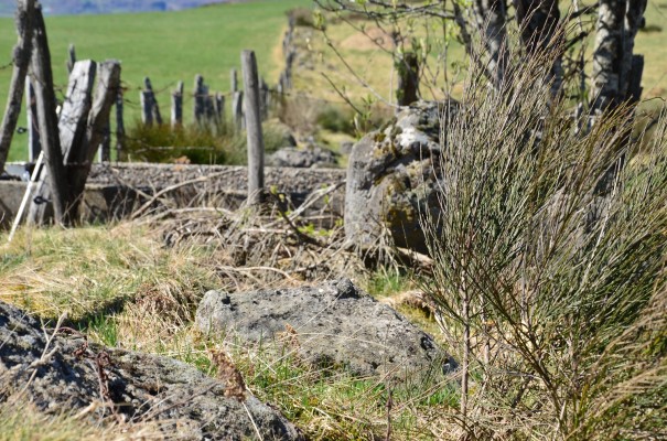 Abenteuerland Auvergne ©entdecker-greise.de 