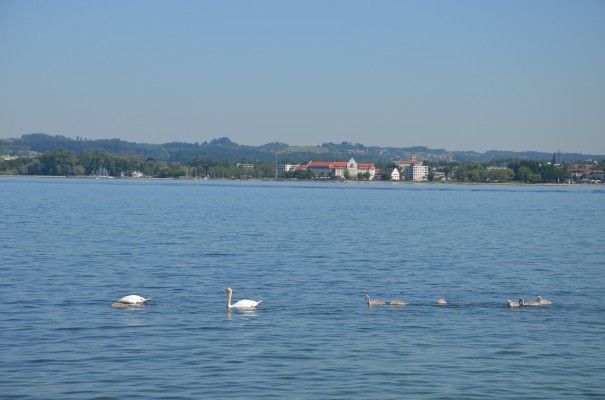 Blick auf den Bodensee, von der Strandpromenade aus ©entdecker-greise.de