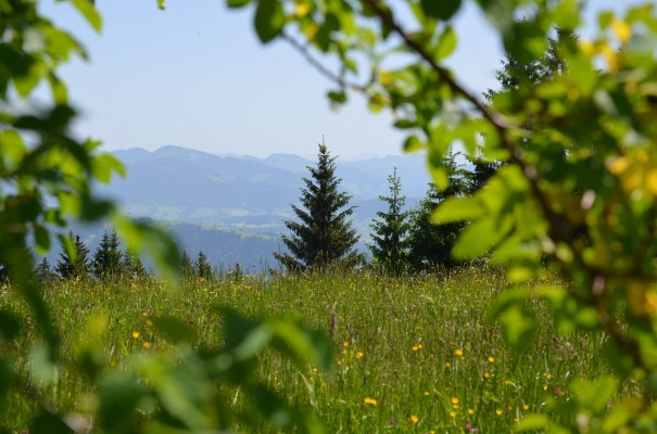 Vielen Dank CasinoUrlaub.at ©entdecker-greise.de