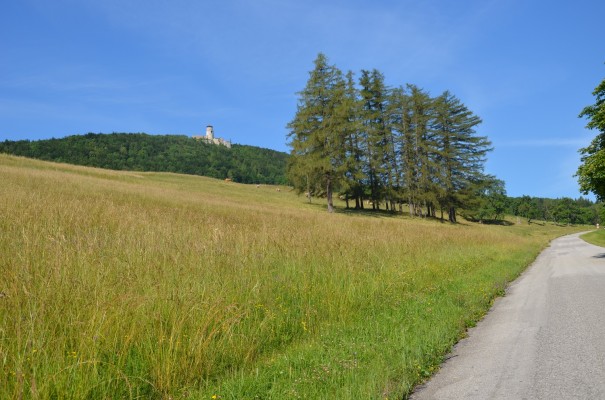 Blick auf die Araburg ©entdecker-greise.de