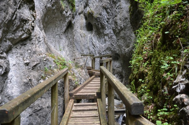  Die-Falkenschlucht-in-Niederösterreich-©entdecker-greise.de
