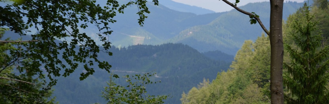 Herrliche Aussichten auf dem Via Sacra ©entdecker-greise.de
