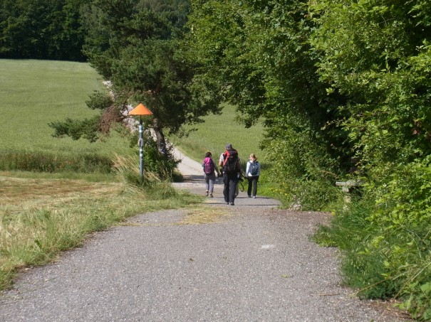 Pilgergefährten tragen einander ... ©entdecker-greise.de