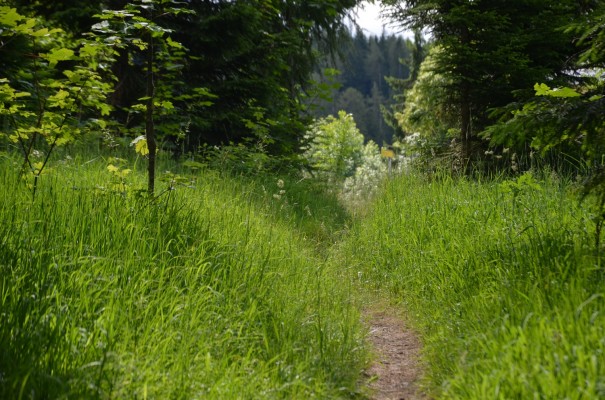  Via Sacra - wild und authentisch wie das Leben ©entdecker-greise