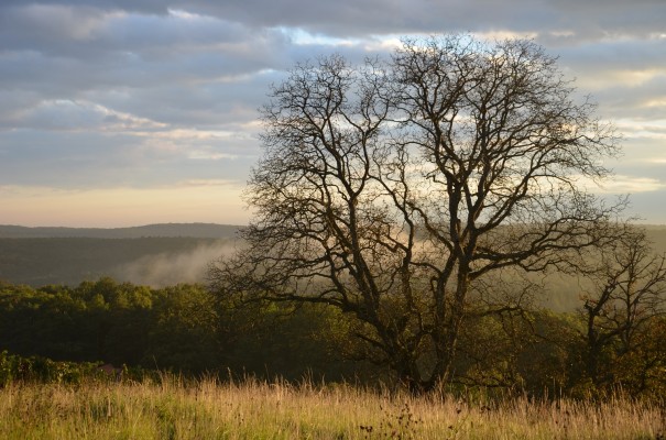 Abendstimmung im Burgenland - einfach wunderschön! ©entdecker-greise.de