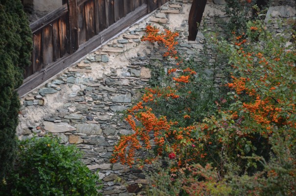 Naturschönheit statt Reizüberflutung auf Burg Bernstein ©entdecker-greise.de