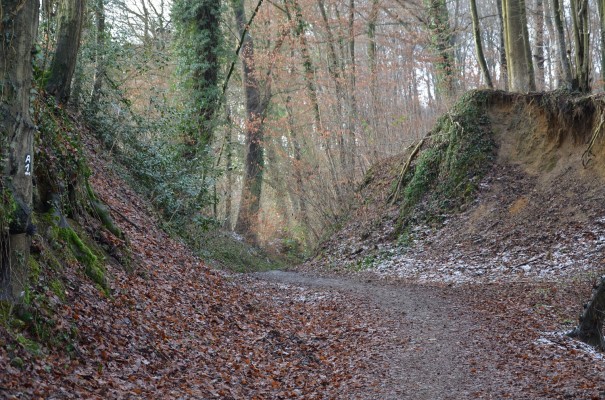 Alter Hohlweg hinauf nach Romaney ©entdecker-greise.de
