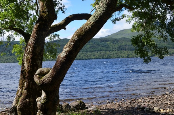 Auch ein gutes Plätzchen zum Campen, mit direktem Blick auf Loch Lomond. ©entdecker-greise.de