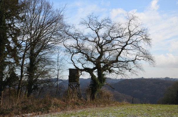 Auf den Höhen von Romaney ©entdecker-greise.de