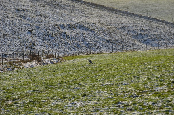 Beim Slow Travel gibt es jede Menge zu entdecken ... ©entdecker-greise.de