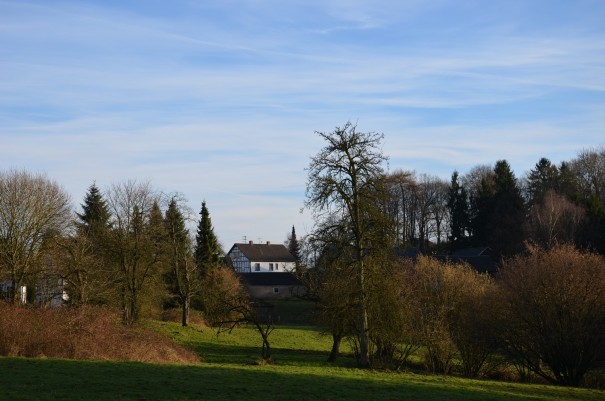 Blick auf Birrenbachshöhe ©entdecker-greise.de