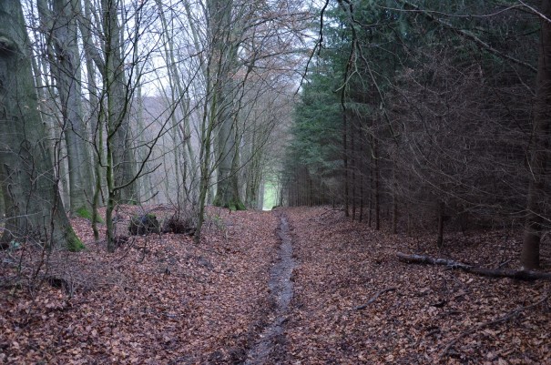 Das Wasser ist diesen Weg schon vor mir gegangen ... ©entdecker-greise.de