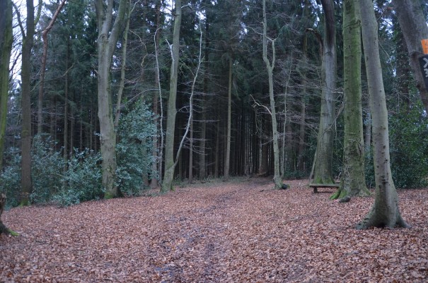 Der Bergische Weg ©entdecker-greise.de