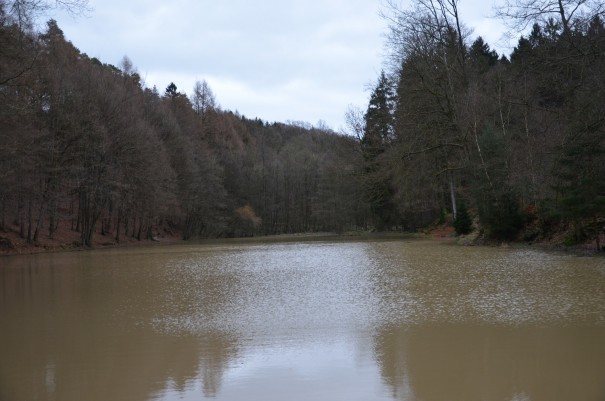 Der Kadettenweiher in der Nähe von Schloss Bensberg ©entdecker-greise.de