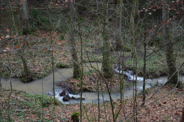 Der Niederschlag der letzten Tage und Wochen zeigt sich auch hier im Milchborntal sehr deutlich. ©entdecker-greise.de