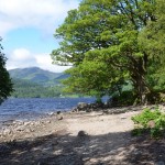 Ein herrliches Plätzchen am Loch Lomond ©entdecker-greise.de