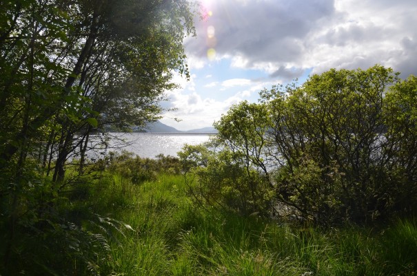 Ein typischer Morgen in Schottland ... und jetzt erst einmal ein gemütliches Frühstück inmitten dieser herrlichen Natur ©entdecker-greise.de