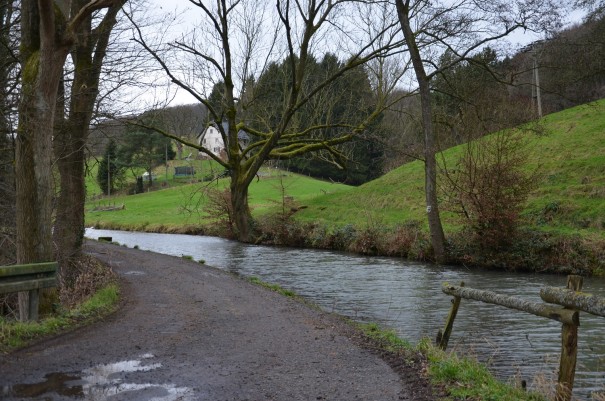 Einen so großen Bachlauf hätte ich hier nicht erwartet ... ©entdecker-greise.de