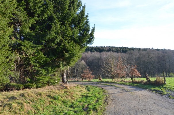 Felder, Wälder und Wiesen - Natur pur im Bergischen Land ©entdecker-greise.de