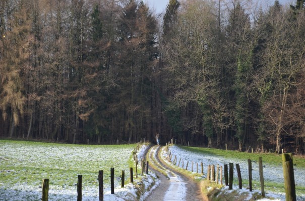 Hinab geht`s in`s schöne Scherfbachtal ©entdecker-greise.de