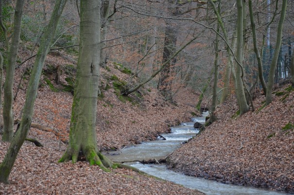 Im Milchborntal gibt es viele Wege zu entdecken ... ©entdecker-greise.de