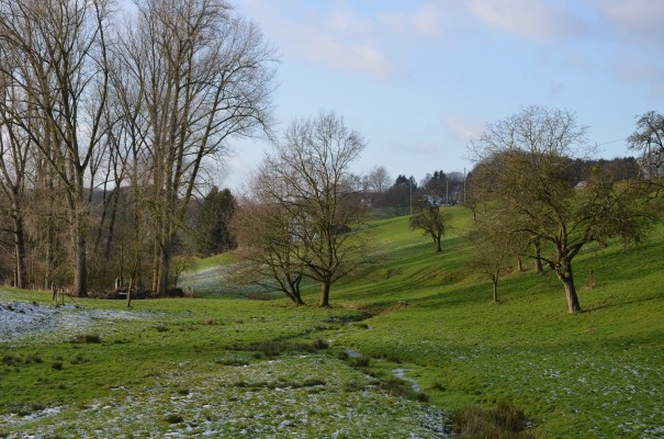 Kuckelberg bei Bergisch Gladbach ©entdecker-greise.de