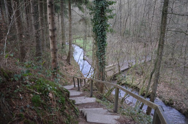 Kurz vor dem Ende der Etappe wird es nochmal spannend auf dem Bergischen Weg. ©entdecker-greise.de