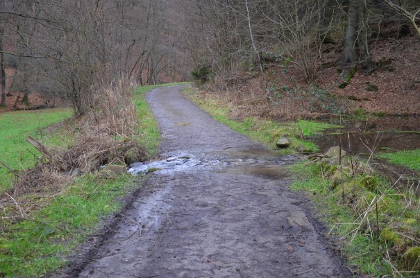 Mein Weg ist überflutet ;-) ©entdecker-greise.de