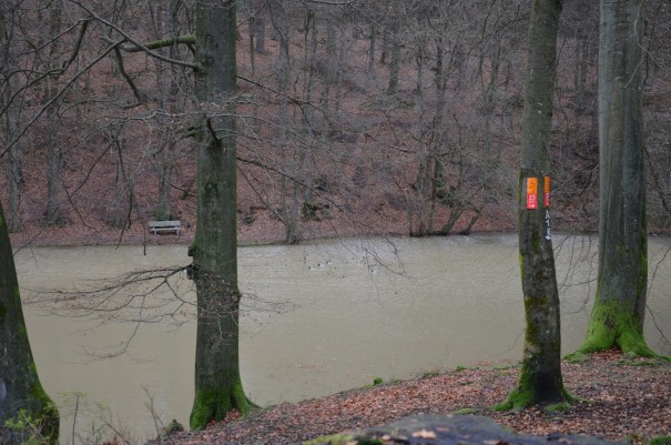 Nochmal der Kadettenweiher, in dem künftige Offiziere einst das Schwimmen lernen sollten. ©entdecker-greise.de