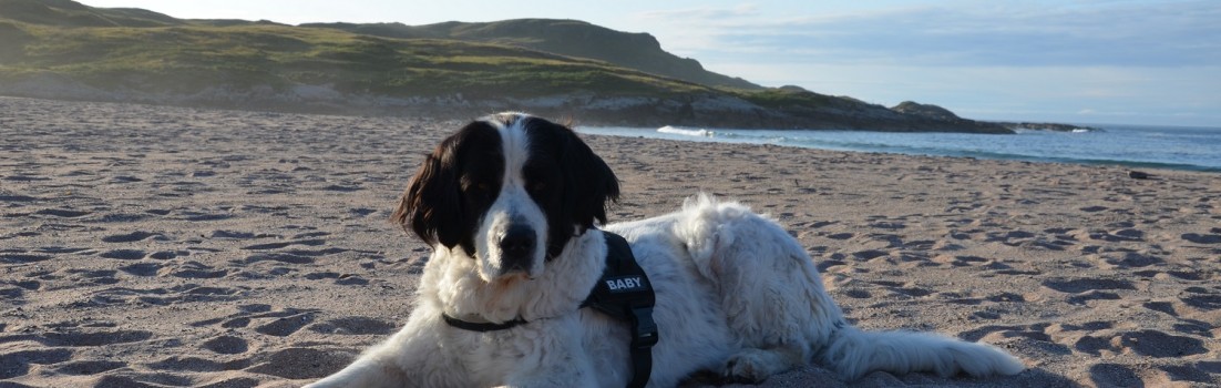 So entspannt kann Urlaub mit Hund sein! ©entdecker-greise.de