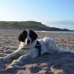 So entspannt kann Urlaub mit Hund sein! ©entdecker-greise.de