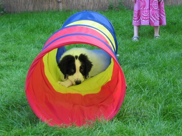 Spielen kann sooo anstrengend sein ... ©entdecker-greise.de